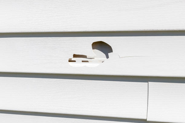 Best Shed Removal  in Tracy, CA